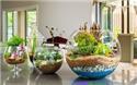 Veranstaltungsbild Dein Wald im Glas